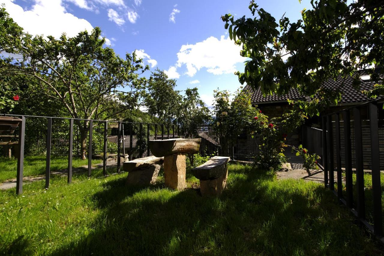 Hotel Balcon Del Pirineo Rural Ordesa Buesa Zewnętrze zdjęcie