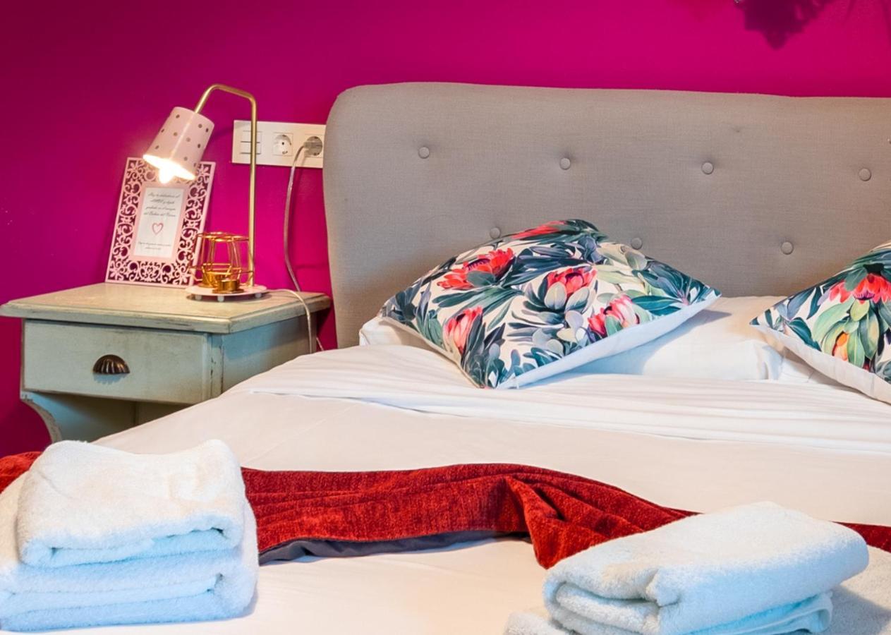 Hotel Balcon Del Pirineo Rural Ordesa Buesa Zewnętrze zdjęcie