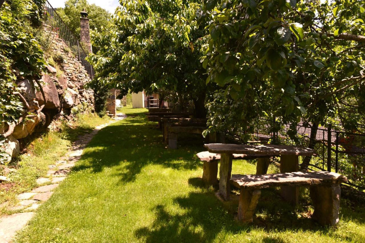 Hotel Balcon Del Pirineo Rural Ordesa Buesa Zewnętrze zdjęcie