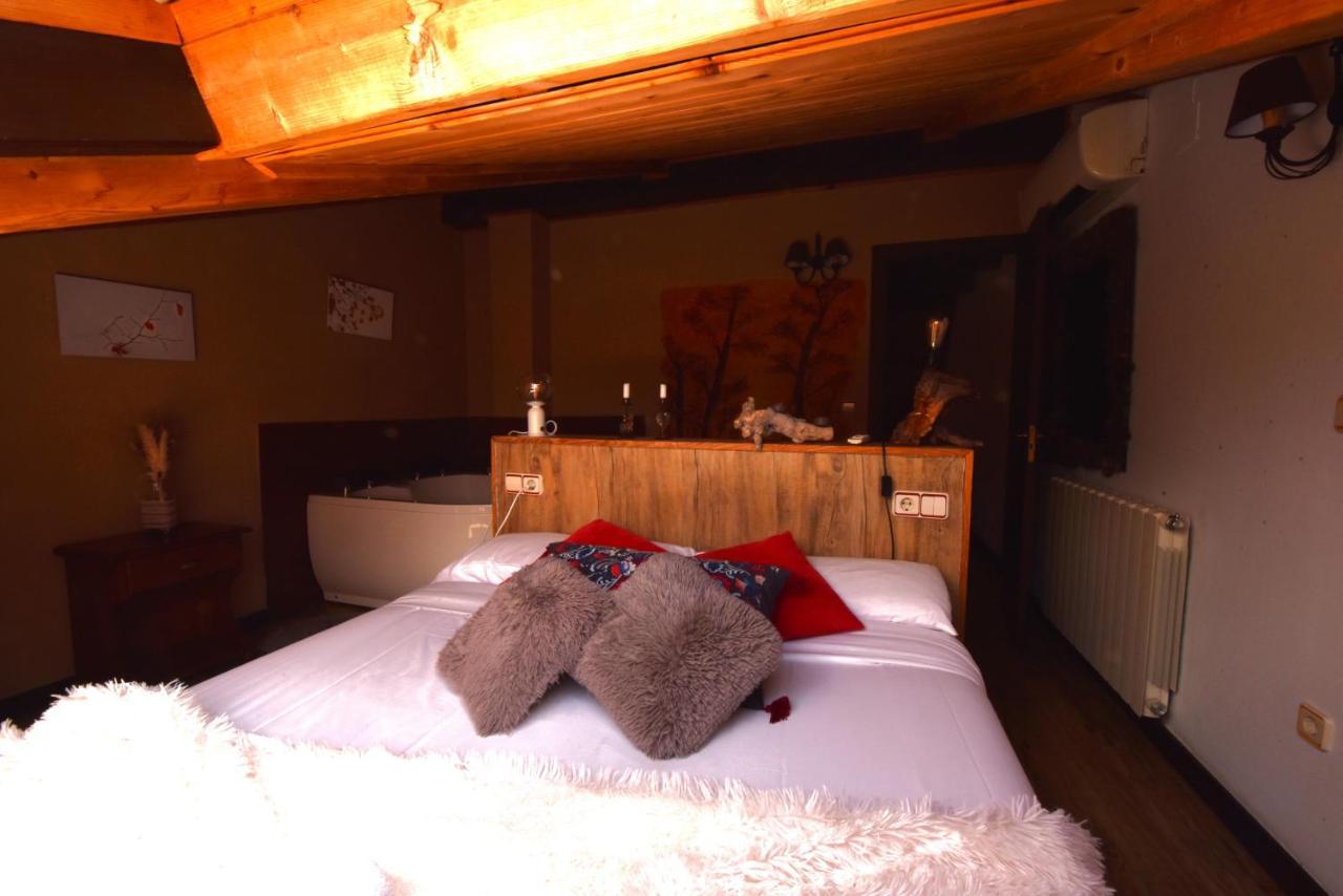 Hotel Balcon Del Pirineo Rural Ordesa Buesa Zewnętrze zdjęcie