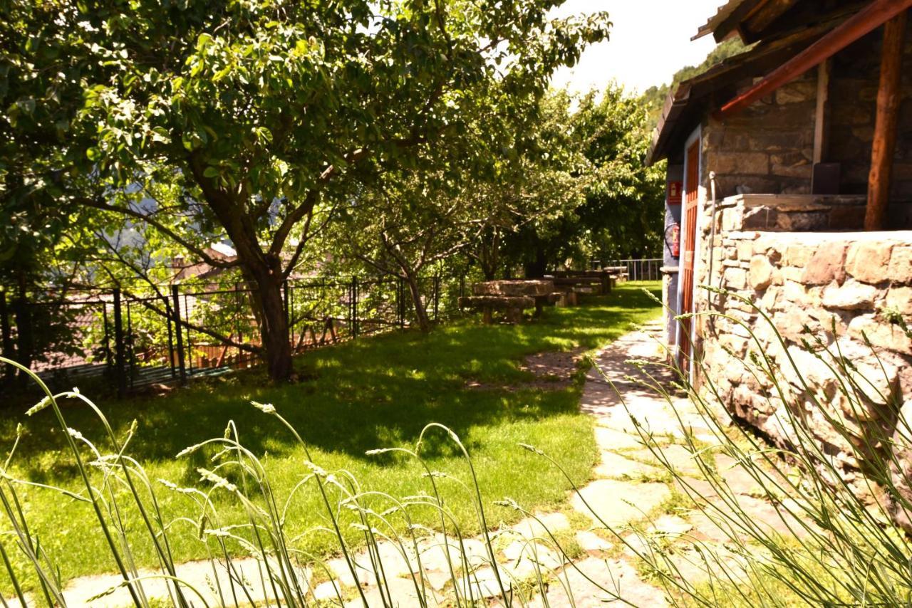Hotel Balcon Del Pirineo Rural Ordesa Buesa Zewnętrze zdjęcie